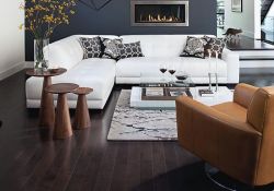 Modern Living Room Colors