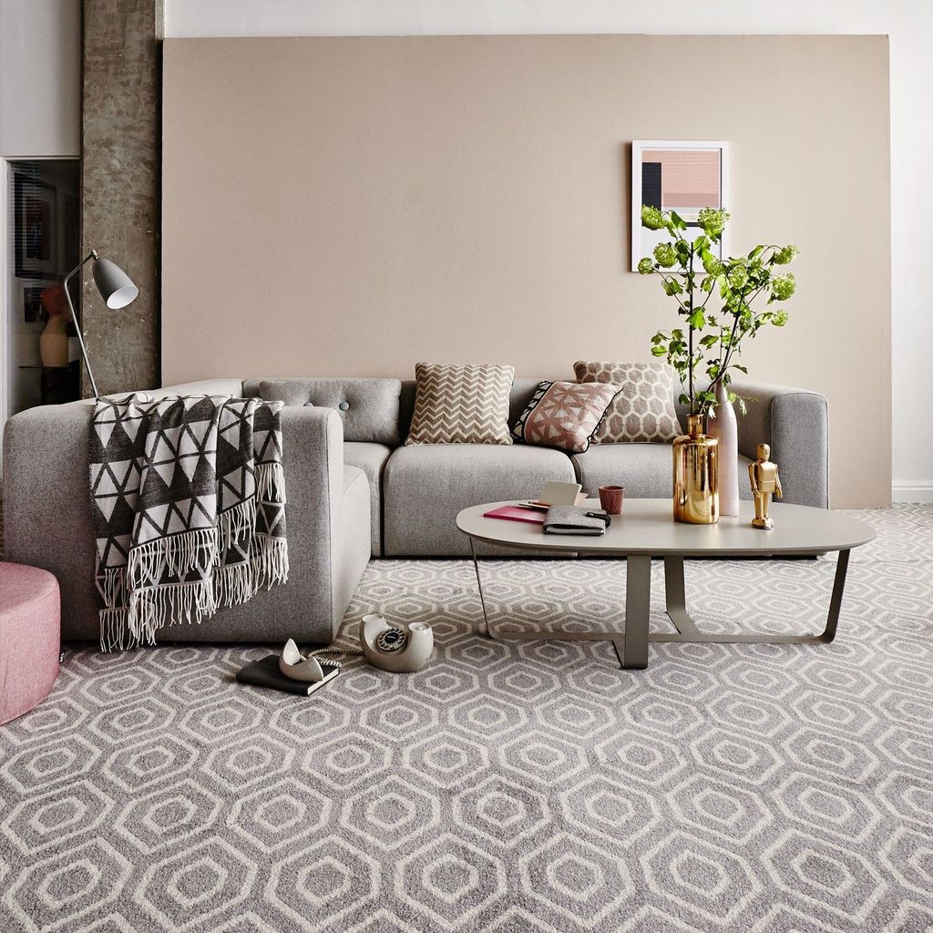 34 Fascinating Living Room With Carpet Decorating Ideas HOMYHOMEE