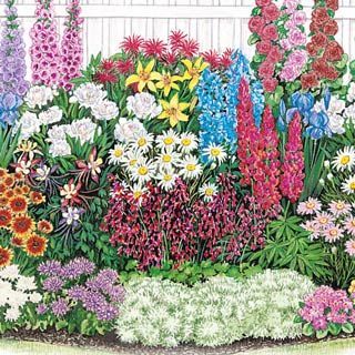 Perennial Flower Garden Ideas