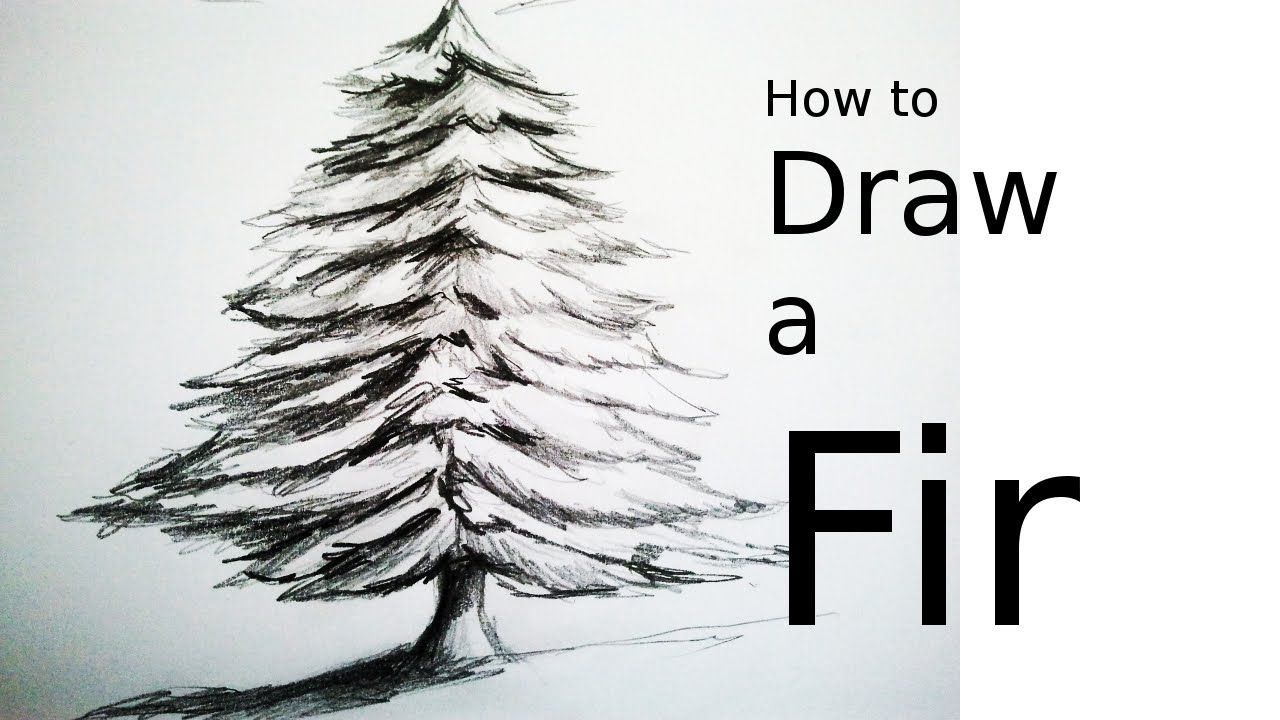 Realistic Christmas Tree Drawing