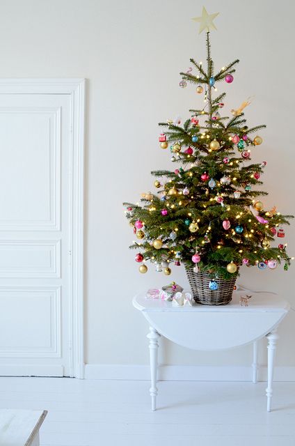 Small Real Christmas Tree