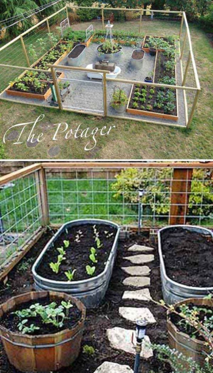 Outdoor Vegetable Garden Ideas